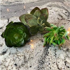 Artificial succulents